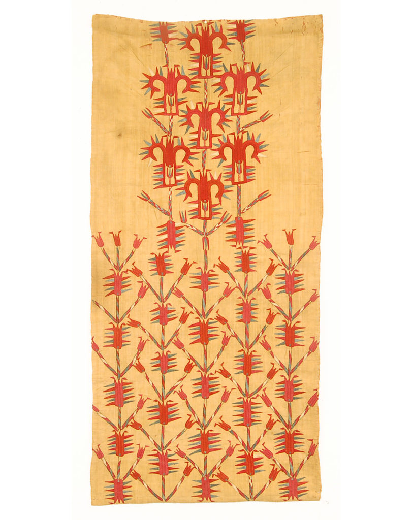 Yellow Chirpi Fragment