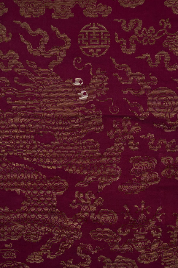 Side Facing Dragon Detail