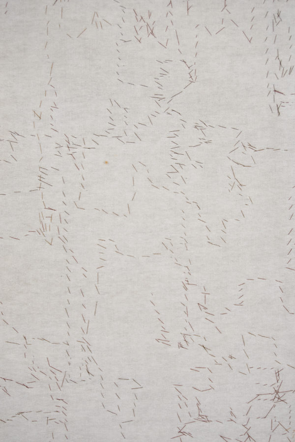 Reverse Detail