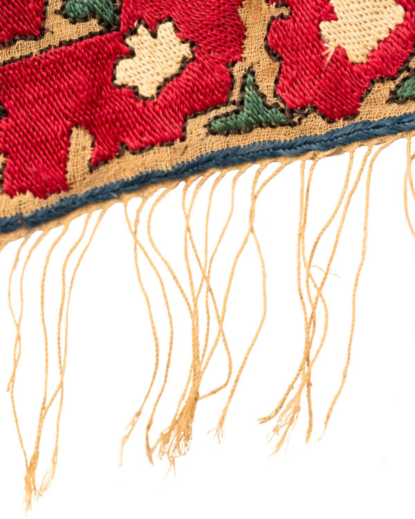 TX5067_5_Tassel_Detail