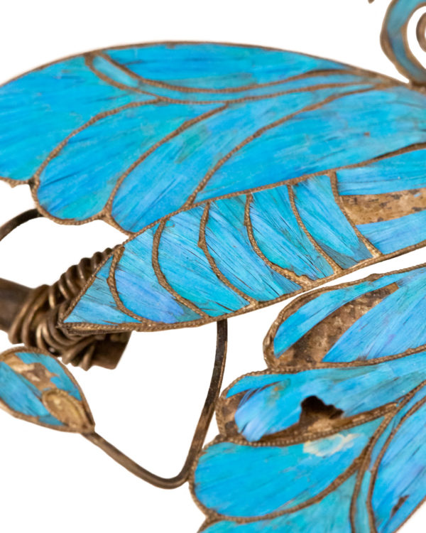 Kingfisher Feather Macro Detail