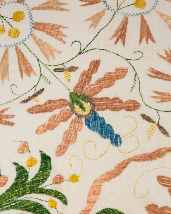 Dragonfly Detail